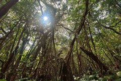 541aece7-e264-437c-b378-ea96d27bf716