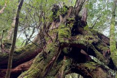 6be14e15-aba9-46be-adc2-1b8eb1e6a8d1