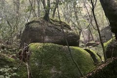 762a3412-74d0-4dc9-804e-bd034941e717