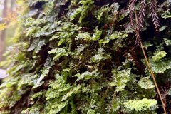 7a15777c-0159-41b5-b435-2261dfc07cbb