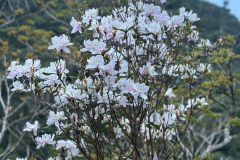 7e649b67-da79-4bf8-941e-0787fff89bfa