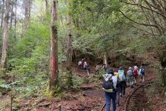 8dd81bc7-59fb-47ca-a943-42977476d9c7