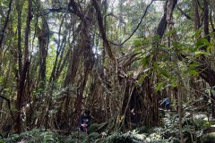 9a62fe3a-4927-44c9-8e0e-02120065bb52