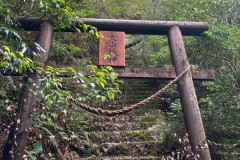 9c9e084b-5314-4bea-a730-0a54e8133380