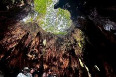 af843b01-60f1-4d98-9c55-f0df2da7cf04