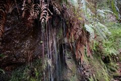 bbe5a9ce-4d5c-4ee1-b46e-e0b33baa19a0