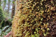 bc28d9f1-b203-46a3-bb49-35b8a88d0e2d