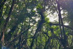 d777744b-7e0d-4983-9eef-50b07086744d