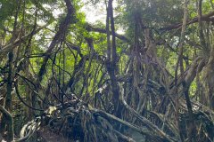 fb41db93-7092-4d24-9ab9-0ae87f5c2219