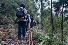 fd16e3ea-35d4-4f8a-983c-23ba5b0ae039