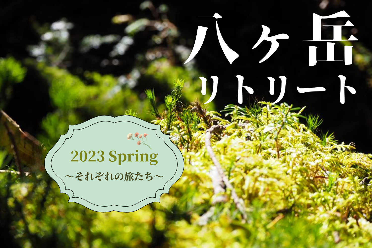 八ヶ岳2023 Spring
