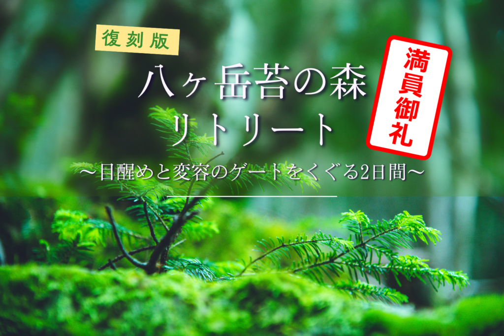 八ヶ岳苔の森_満員御礼