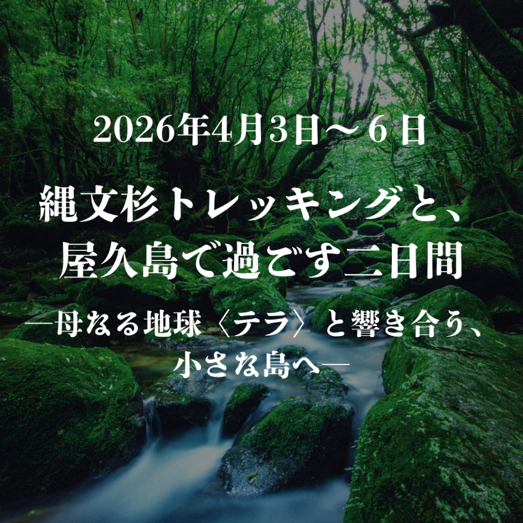 2026年4月3日〜6日屋久島リトリート