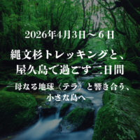 2026年4月3日〜6日屋久島リトリート