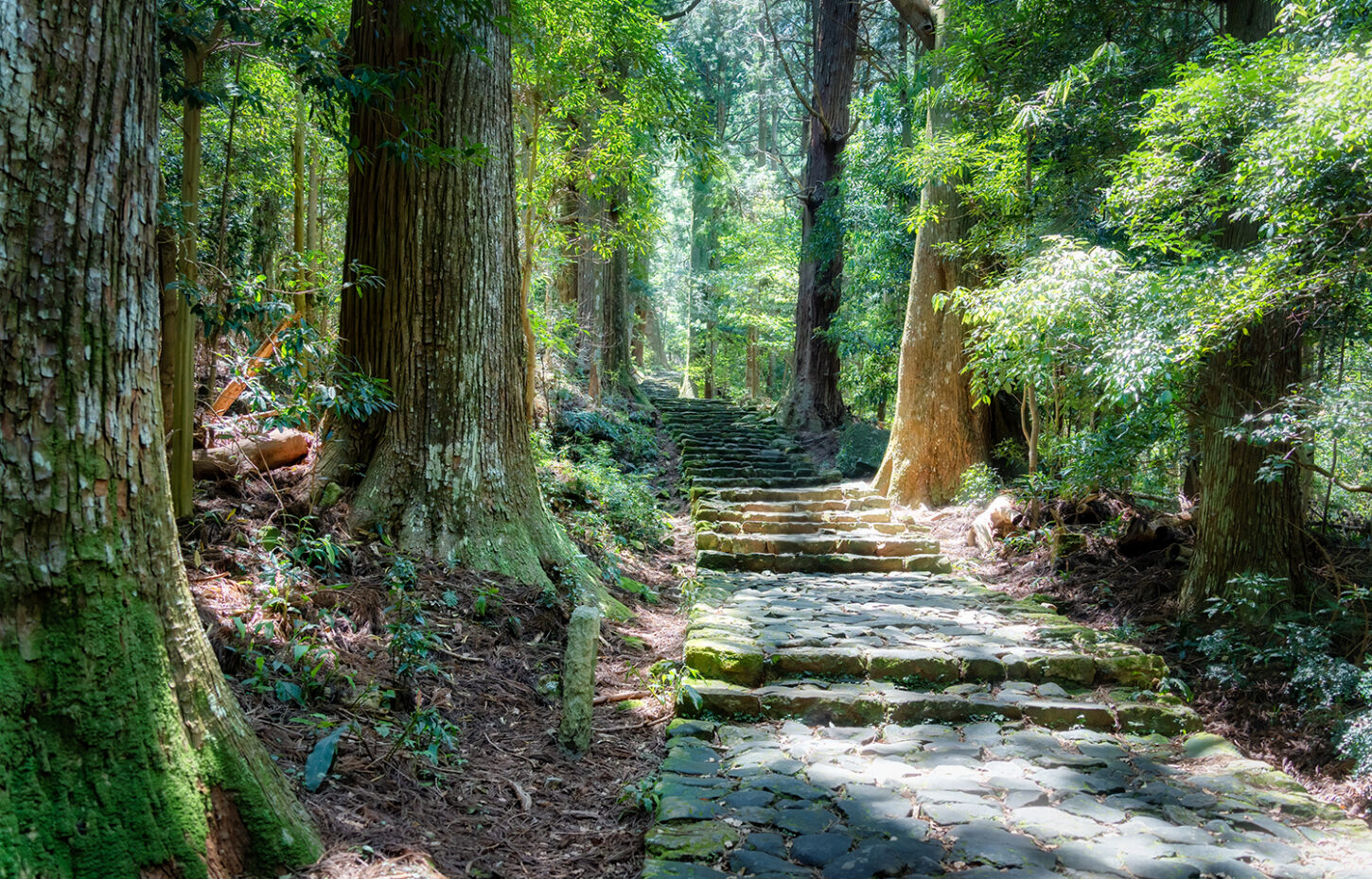熊野古道を歩いてきました